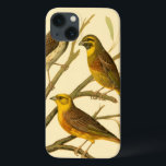 Case-Mate iPhone Case Trois oiseaux domestiques perchés sur une branche<br><div class="desc">L'artiste W. Rutledge saisit parfaitement les couleurs vives de ces oiseaux domestiques. Obtenez cette peinture simple mais joliment réaliste. Vue latérale de deux oiseaux jaunes et d'un oiseau plus foncé sur une branche et regardant dans des directions différentes.</div>