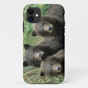 Coque iPhone 11 Trois oursons grizzlis ou coys