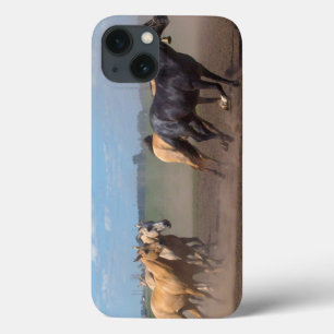 Etui iPhone Case-Mate Troupeau courant de cheval