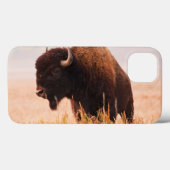 Coques Case-Mate iPhone Troupeau De Bison Américain (Bison Bison) À Teton  (Verso (horizontal))
