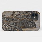 Coques Case-Mate iPhone Troupeau de zèbres de Burchell buvant dans le Mara (Dos (Horizontal))