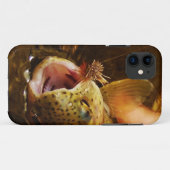 Coques Case-Mate iPhone Trout and Fly (Dos (Horizontal))
