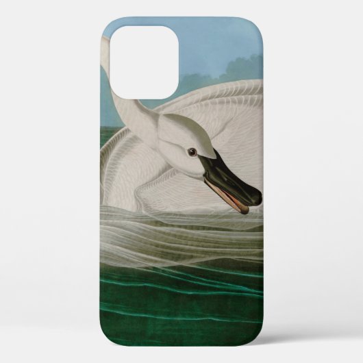 Coques Case-Mate iPhone Trumpeter Swan Birds of America Audubon Print (Verso)