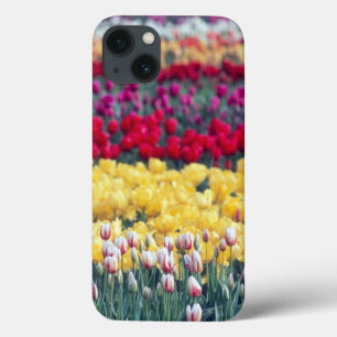 Etui iPhone Case-Mate Tulip display garden in the Skagit valley,