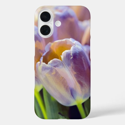 Coques Case-Mate iPhone Tulip Portrait Restyle (Verso)