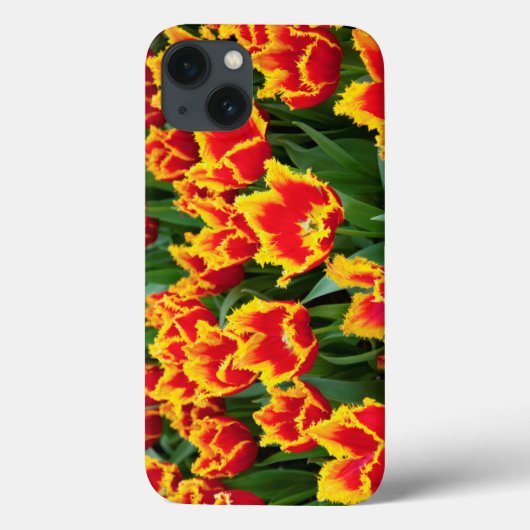 Coques Case-Mate iPhone Tulipa Fabio, Keukenhof, Pays-Bas (Verso)
