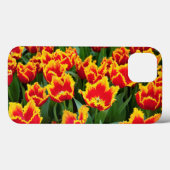 Coques Case-Mate iPhone Tulipa Fabio, Keukenhof, Pays-Bas (Verso (horizontal))