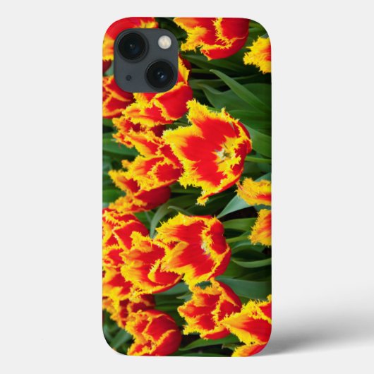 Coques Case-Mate iPhone Tulipa Fabio, Keukenhof, Pays-Bas (Verso)