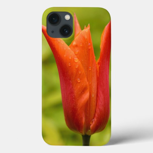 Coques Case-Mate iPhone Tulipe avec gouttelettes d'eau 1 (Verso)