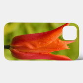 Coques Case-Mate iPhone Tulipe avec gouttelettes d'eau 1 (Verso (horizontal))