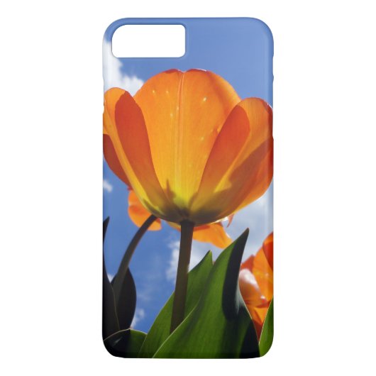 Coques Case-Mate iPhone Tulipe orange, Ciel bleu (Dos)