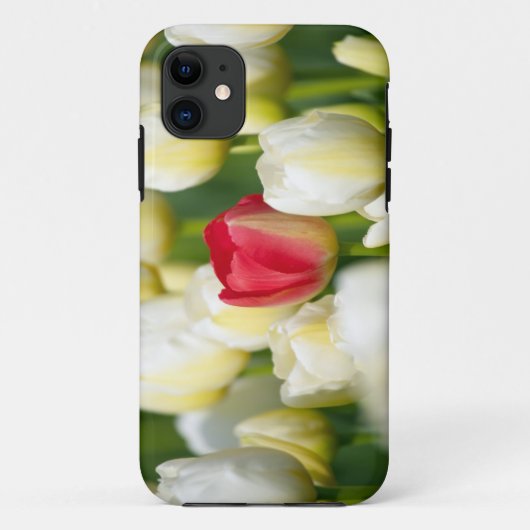 Coques Case-Mate iPhone Tulipe rouge dans un domaine des tulipes blanches (Dos)