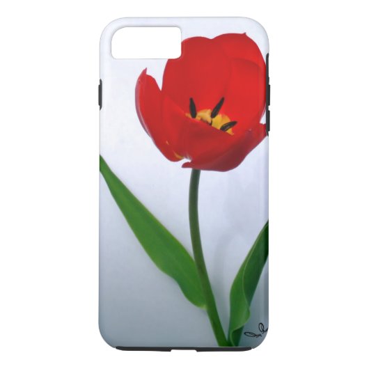 Coques Case-Mate iPhone Tulipe rouge en pleine floraison (Dos)