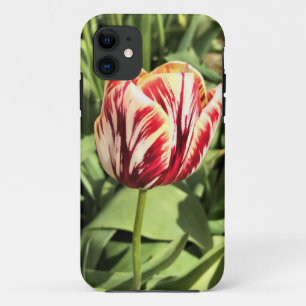 Case-Mate iPhone Case Tulipe rouge et blanche