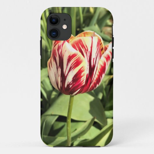 Coques Case-Mate iPhone Tulipe rouge et blanche (Dos)
