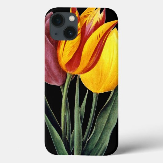 Coques Case-Mate iPhone Tulipe (Tulipa Gesneriana) (Verso)