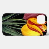 Coques Case-Mate iPhone Tulipe (Tulipa Gesneriana) (Verso (horizontal))
