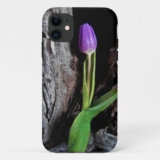 Coques Case-Mate iPhone tulipe violette sur bois flotté (Dos)