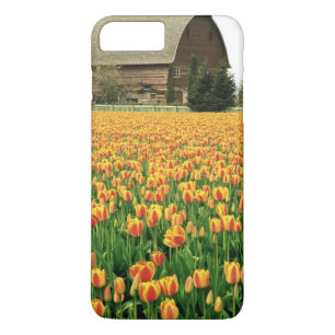 Case-Mate iPhone Case Tulipes de printemps fleurissent devant une vieill