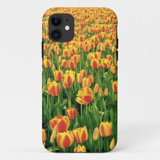 Coques Case-Mate iPhone Tulipes printanières fleurissent devant une vieill (Dos)