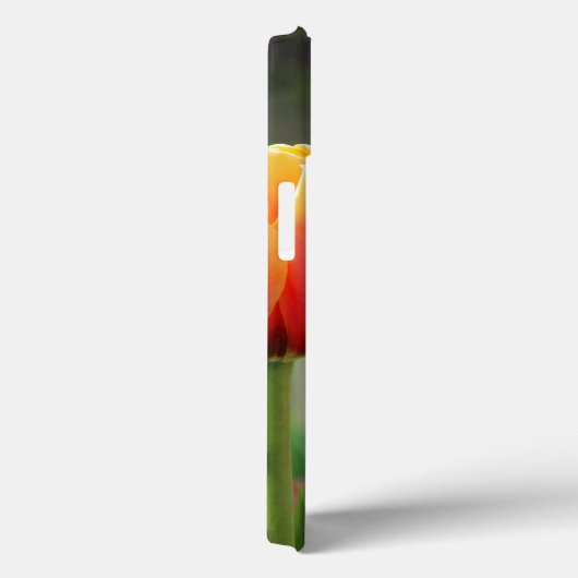 Coques Case-Mate iPhone Tulipes tombées flammes (Verso / Droite)