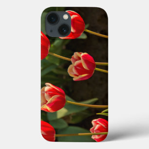 iPhone 13 Coque Tulips, Tulip Festival, Woodburn, Oregon, États-Un