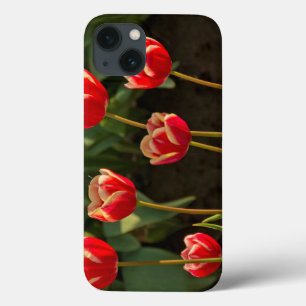 Etui iPhone Case-Mate Tulips, Tulip Festival, Woodburn, Oregon, États-Un
