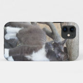 Coques Case-Mate iPhone Tuxedo Kitten (Dos (Horizontal))
