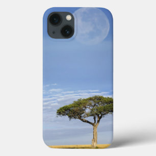 Case-Mate iPhone Case Umbrella Thorn Acacia, Acacia tortilis, and