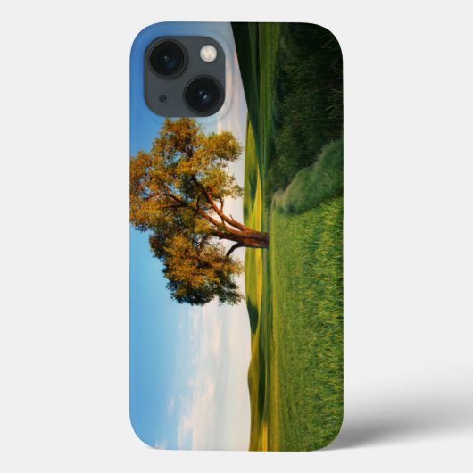 Coques Case-Mate iPhone Un arbre solitaire entouré de collines ondulées de (Verso)
