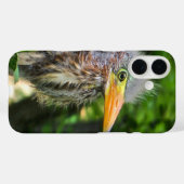Coques Case-Mate iPhone Un bébé héron vert (Verso (horizontal))