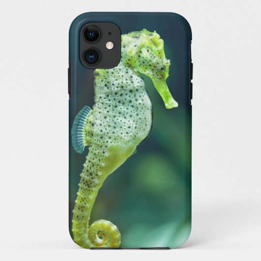 Coques Case-Mate iPhone Un bel hippocampe de Knysna (Dos)