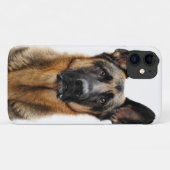 Coques Case-Mate iPhone Un berger allemand assis (Dos (Horizontal))