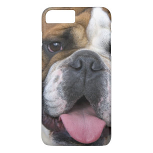 Coque iPhone 7 Plus Un bouledogue anglais en Belgique