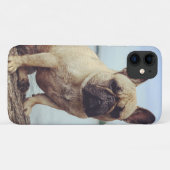 Coques Case-Mate iPhone Un Bulldog français (Dos (Horizontal))
