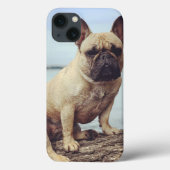 Coques Case-Mate iPhone Un Bulldog français (Verso)