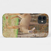 Coques Case-Mate iPhone Un cerf de rêve de chasseur (Dos (Horizontal))