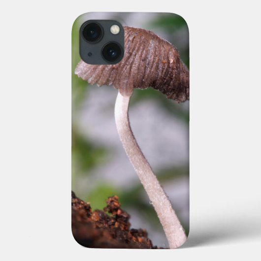 Coques Case-Mate iPhone Un champignon (Verso)