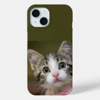 Un chaton mignon aux yeux verts