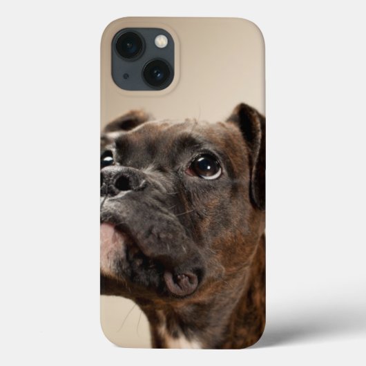 Coques Case-Mate iPhone Un chiot de Brindle Boxer qui regarde curieusement (Verso)