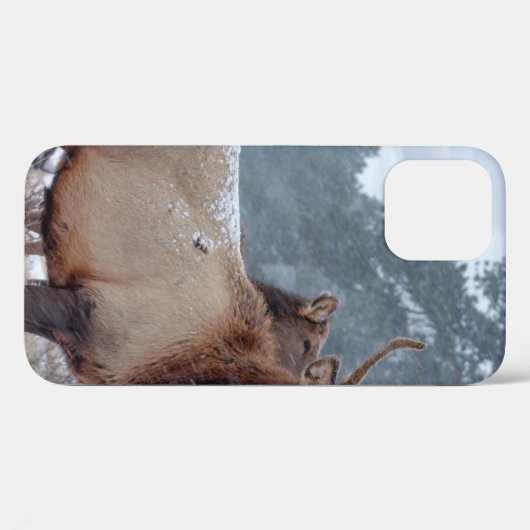 COQUES Case-Mate iPhone UN GROUPE DE DEERS (Verso (horizontal))