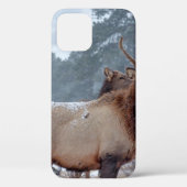 COQUES Case-Mate iPhone UN GROUPE DE DEERS (Verso)