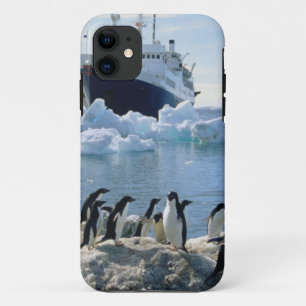 Coque iPhone 11 Un groupe de pingouins se tenant sur une plage