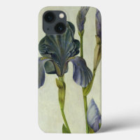 Un iris