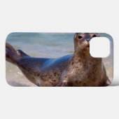 Coques Case-Mate iPhone Un joint sur une plage le long de la Côte (Verso (horizontal))