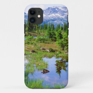 Etui iPhone Case-Mate Un lac glaciaire dans l'arrière-pays de l'île de V
