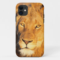Un lion à crinière rouge regardant l'appareil phot