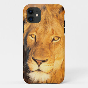 Coques Pour iPhone Un lion à crinière rouge regardant l'appareil phot