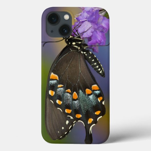 Coques Case-Mate iPhone Un papillon de soufre (Verso)