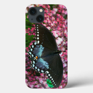 Case-Mate iPhone Case Un papillon de soufre   dans la famille de Phoebis
